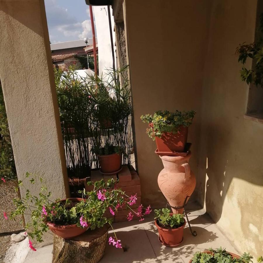 A Casa Mia Hotel Citta di Castello Bagian luar foto