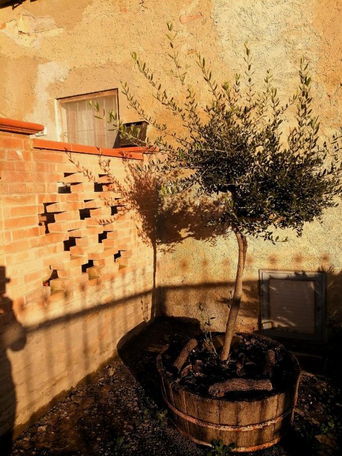 A Casa Mia Hotel Citta di Castello Bagian luar foto